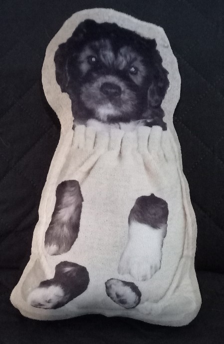 PON-Figur aus Plüsch